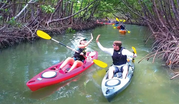 Mangrove Tunnel Kayak Eco Tour – lngBooking.com