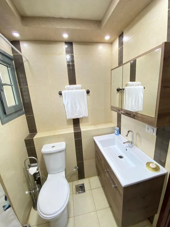 Type T3 Suite